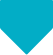 Terminarz